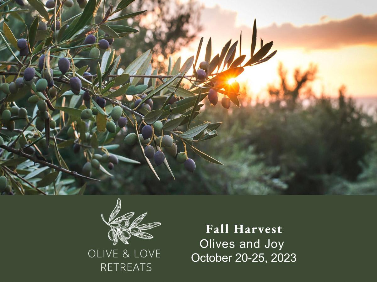 Olives & Joy Retreat | 20-25 Οκτωβρίου 2023