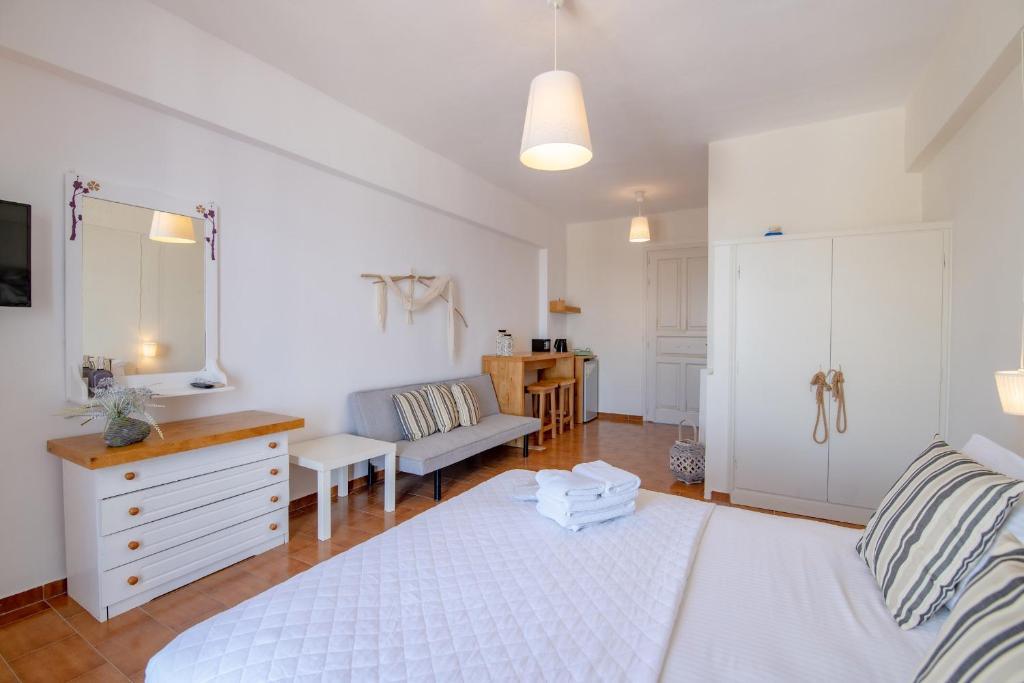 Villa Fiamegou Batsi Andros Secrets