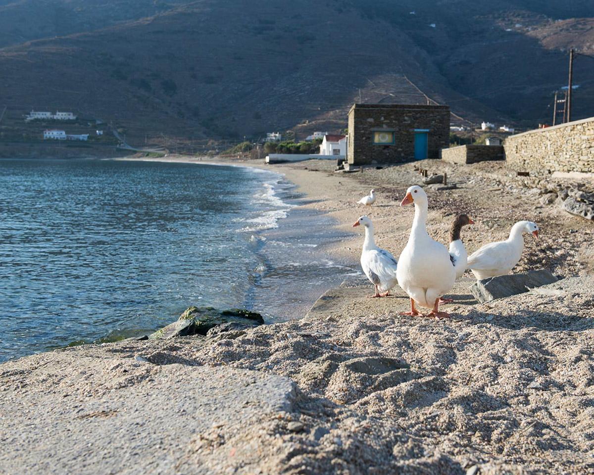 Παραλία Κόρθι