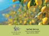 Lemons & Laughter Retreat | 20-23 Απριλίου 2023
